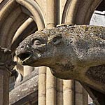 Gargoyle of the chevet